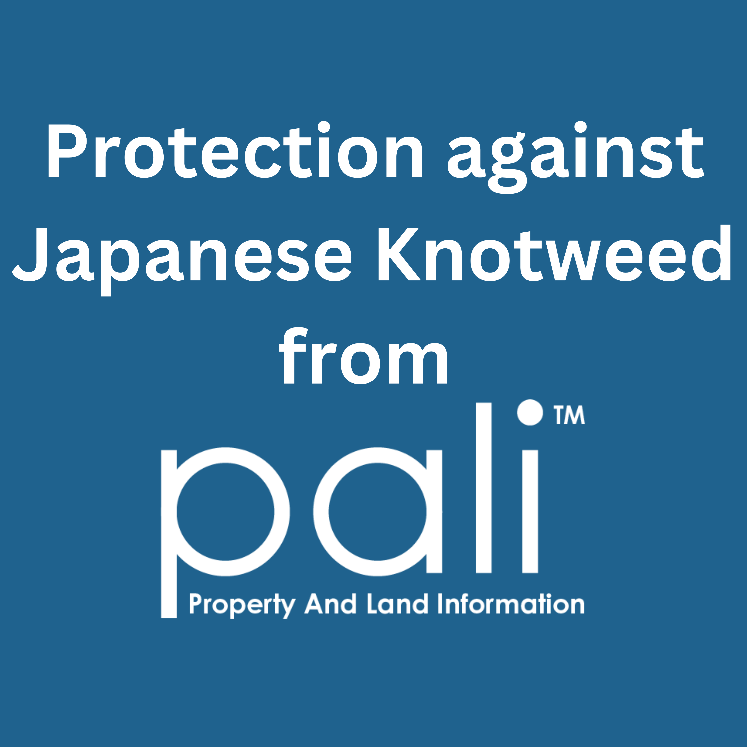Protection against the war on Japanese Knotweed