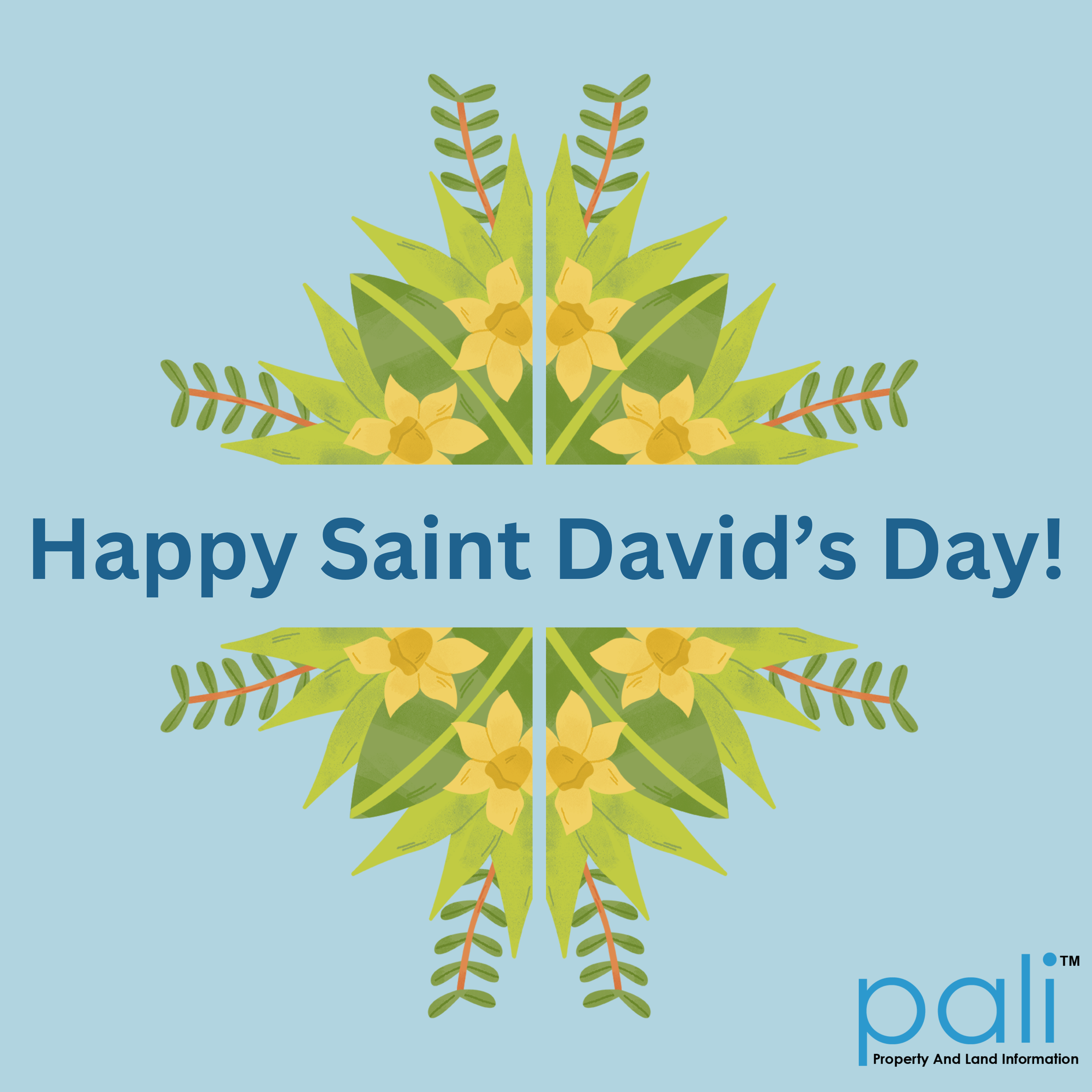 happy saint davids day post